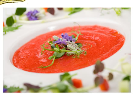 spanish gazpacho